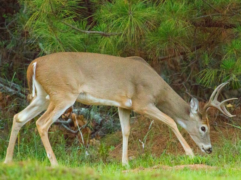 Lake Thunderbird Oklahoma's Official Travel & Tourism Site