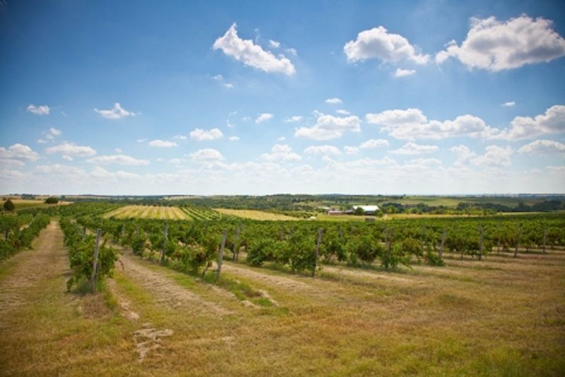 Oklahoma's Wonderful Wines & Wineries Oklahoma's Official Travel & Tourism Site