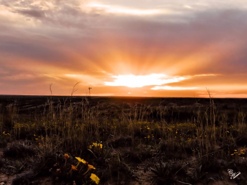 City of Guymon Oklahoma's Official Travel & Tourism Site