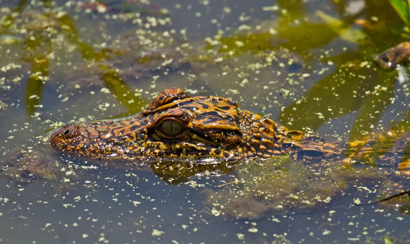 City of Idabel Oklahoma's Official Travel & Tourism Site