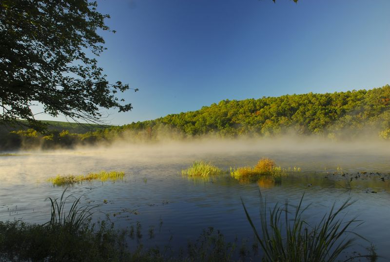 Oklahoma's Diverse Ecoregions Oklahoma's Official