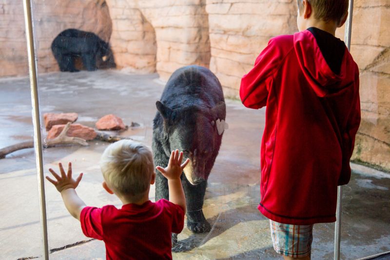 Oklahoma Zoos & Aquariums Oklahoma's Official Travel