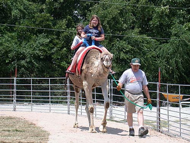 Arbuckle Wilderness Oklahoma's Official Travel