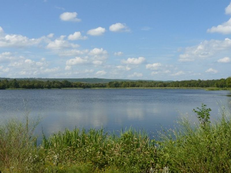 Lake Ozzie Cobb Oklahoma's Official Travel & Tourism Site