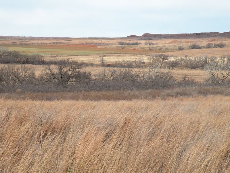 Black Kettle National Grassland Oklahoma