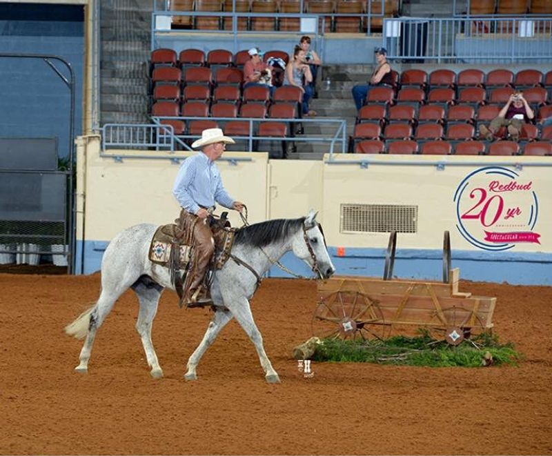 Redbud Spectacular Horse Show Oklahoma's Official