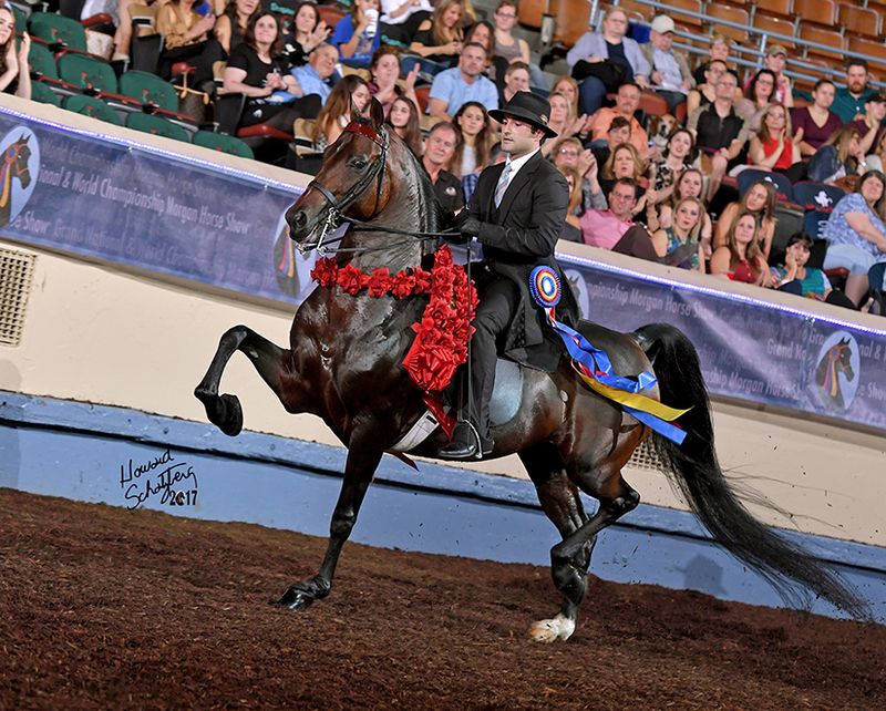 Grand National & World Championship Horse Show