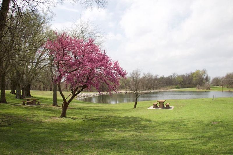 Oologah Lake Oklahoma's Official Travel & Tourism Site