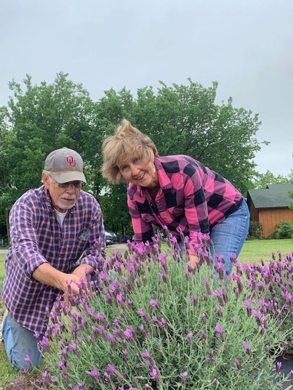 Lakeview Lavender Farm Travelok Com Oklahoma S Official Travel Tourism Site