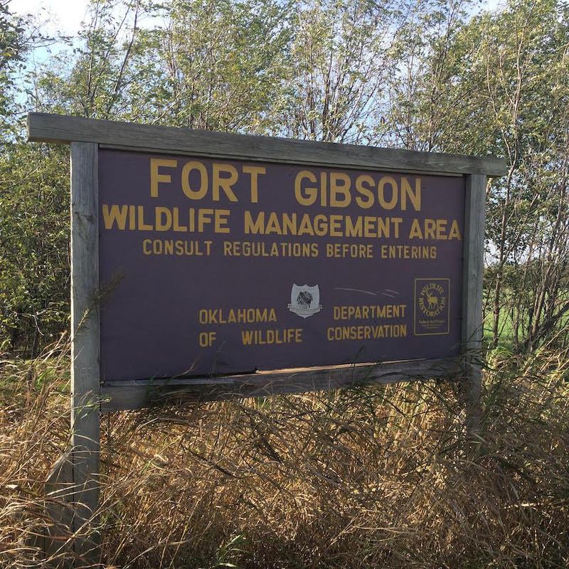 Fort Gibson Wildlife Management Area Oklahoma's