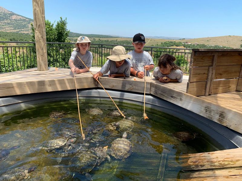 Medicine Park Aquarium & Natural Sciences Center