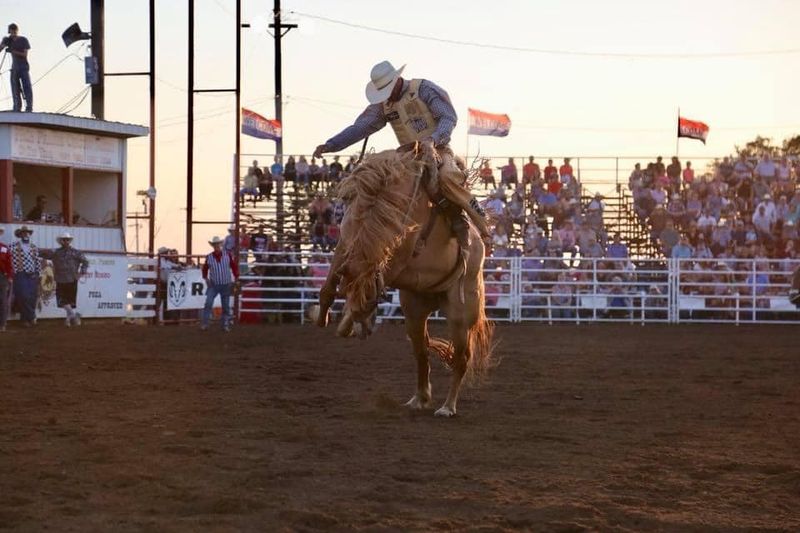 101 Wild West Rodeo Travelok Com Oklahoma S Official Travel Tourism Site