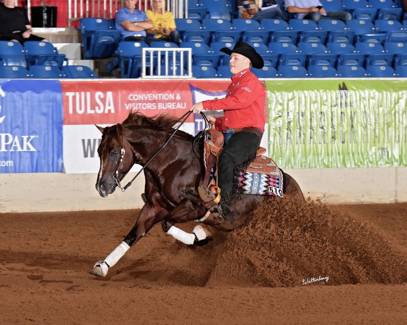 Tulsa Reining Classic Oklahoma's Official Travel