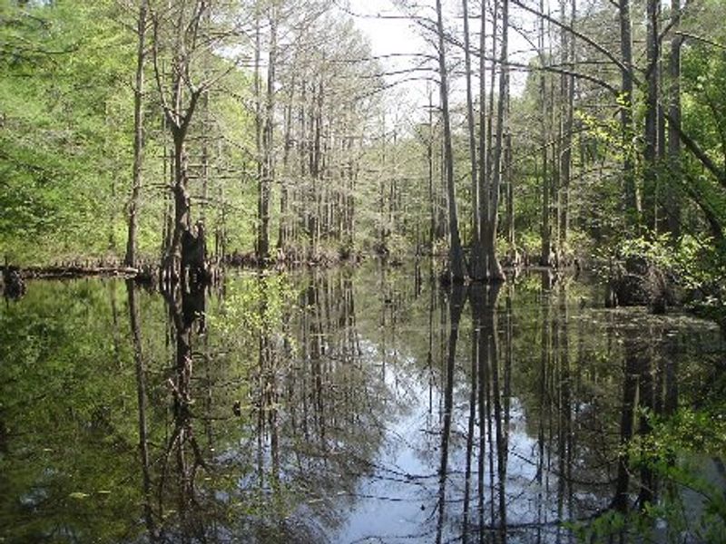 Little River National Wildlife Refuge | TravelOK.com - Oklahoma's ...