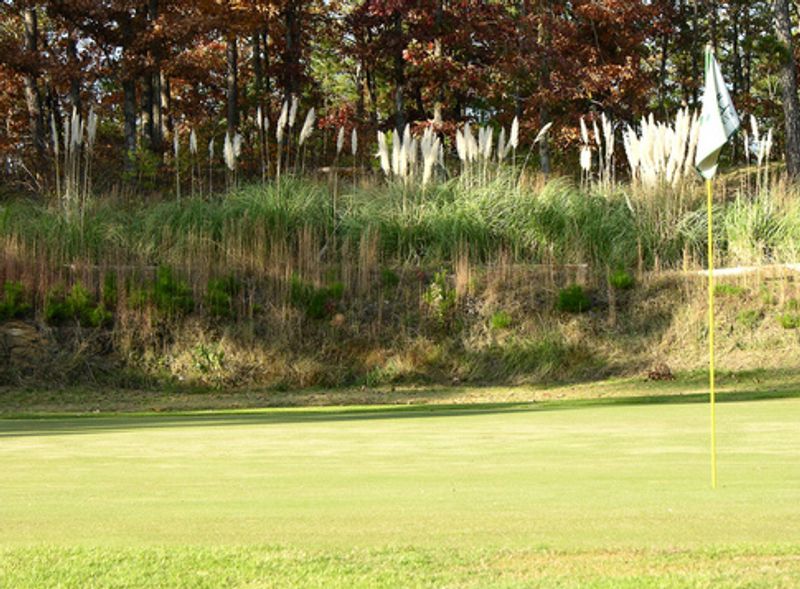 Cedar Creek Golf Course at Beavers Bend State Park