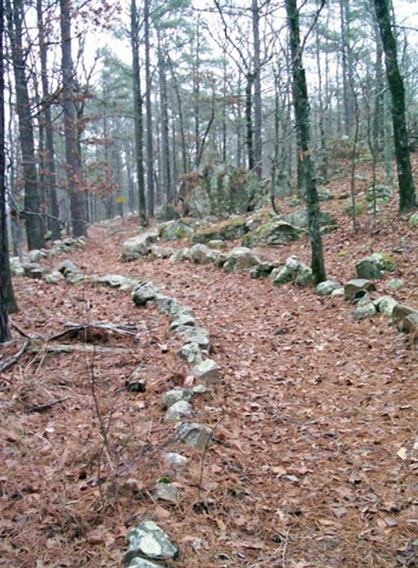 Ouachita National Forest Oklahoma's Official Travel