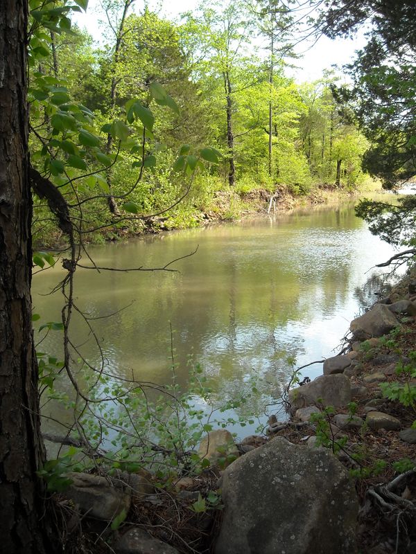 Billy Creek Cabins Oklahoma's Official Travel