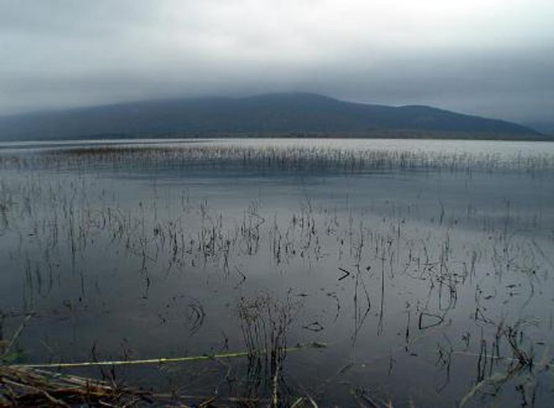 Sardis Lake Oklahoma's Official Travel & Tourism Site