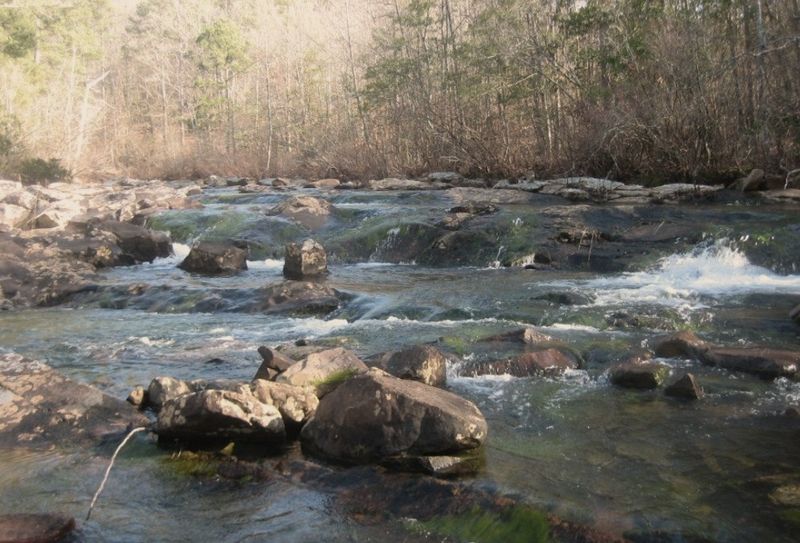 Beech Creek National Scenic & Botanical Area Trail System TravelOK
