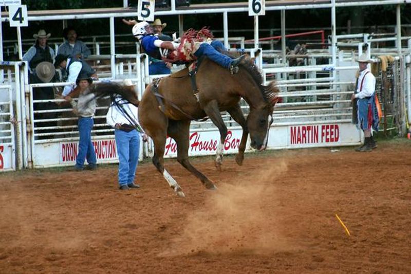 Wynnewood Open Rodeo Oklahoma's Official Travel