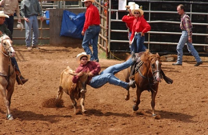 International Finals Youth Rodeo Oklahoma's Official