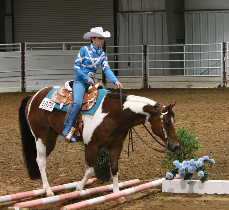 Pinto World Championship Horse Show Oklahoma's