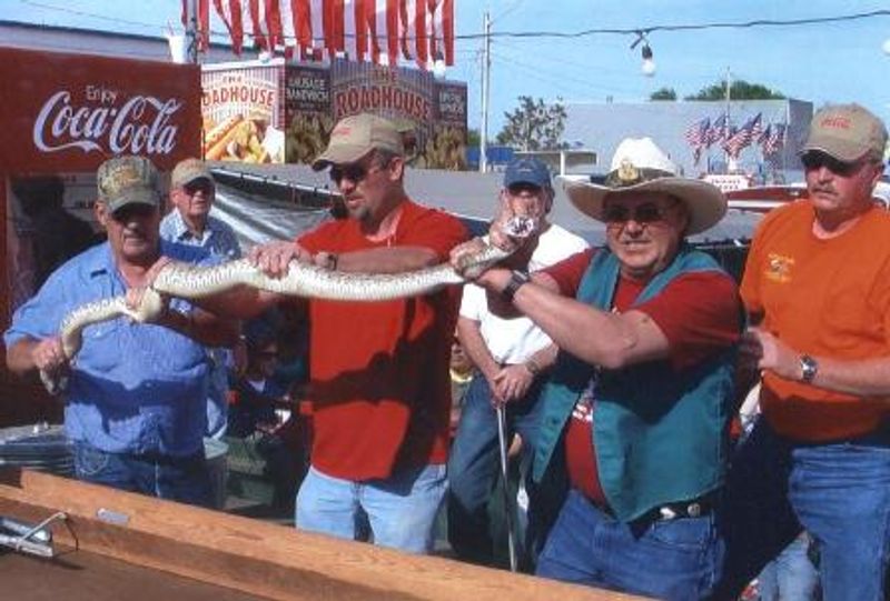 Apache Rattlesnake Festival Oklahoma's Official Travel
