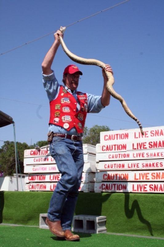 Mangum Rattlesnake Derby Oklahoma's Official Travel