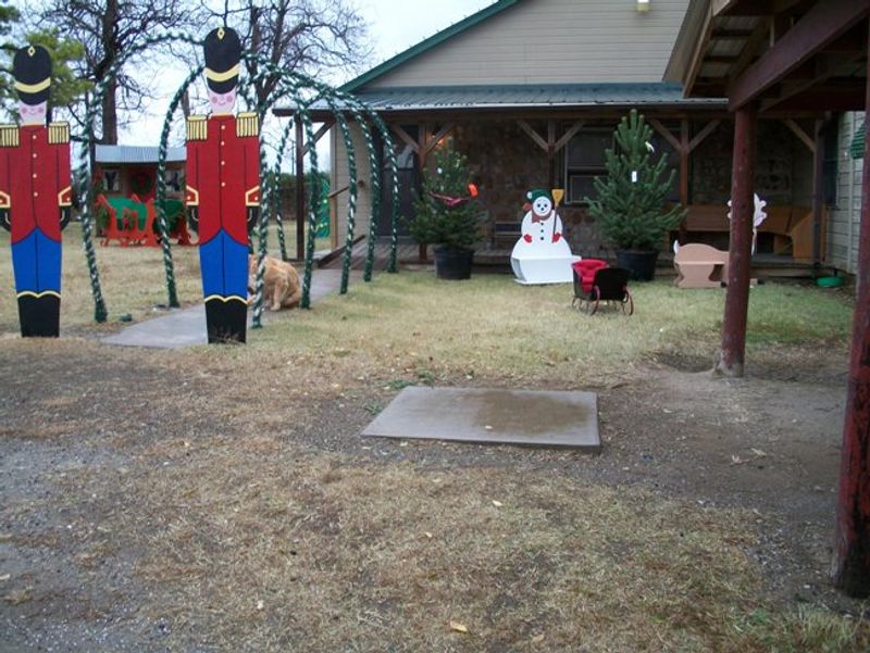 Owasso Christmas Tree & Berry Farm Oklahoma's Official