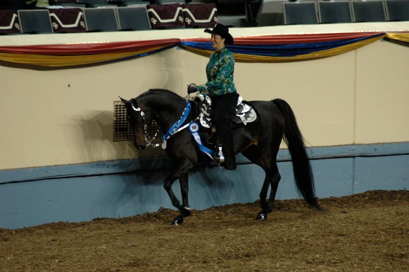 Grand National & World Championship Horse Show