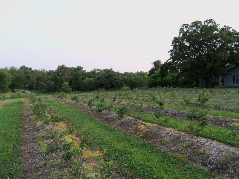 Endicott Farms Oklahoma's Official Travel & Tourism Site