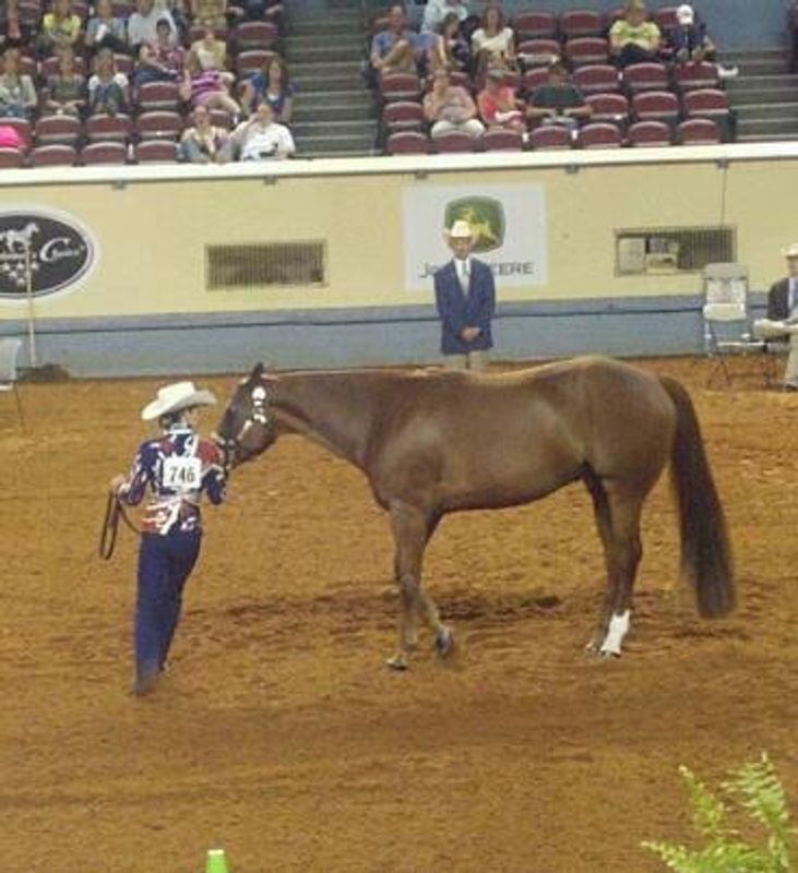 American Quarter Horse Association Youth World Championship TravelOK