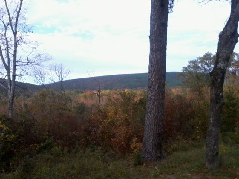 Honobia Bigfoot Festival & Conference Oklahoma's