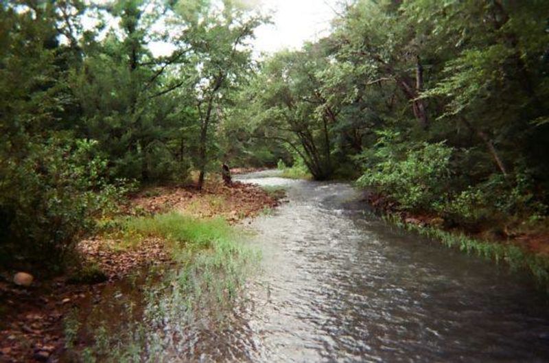 Honobia Bigfoot Festival & Conference Oklahoma's