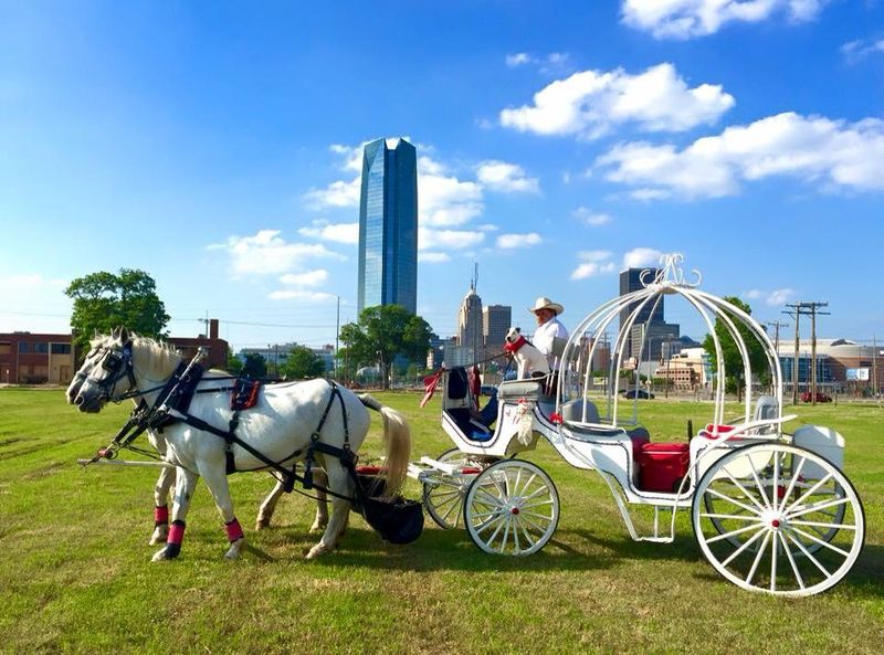 Lazy J Ranch and Rodeo Company & Carriage Rides