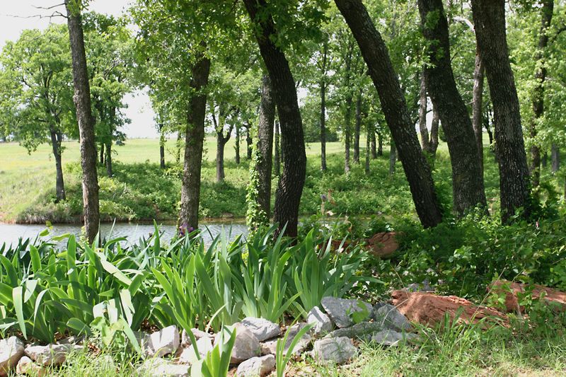 Winter Creek Golf & Country Club Oklahoma's Official Travel & Tourism Site