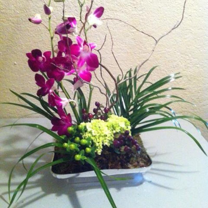 My Image 27