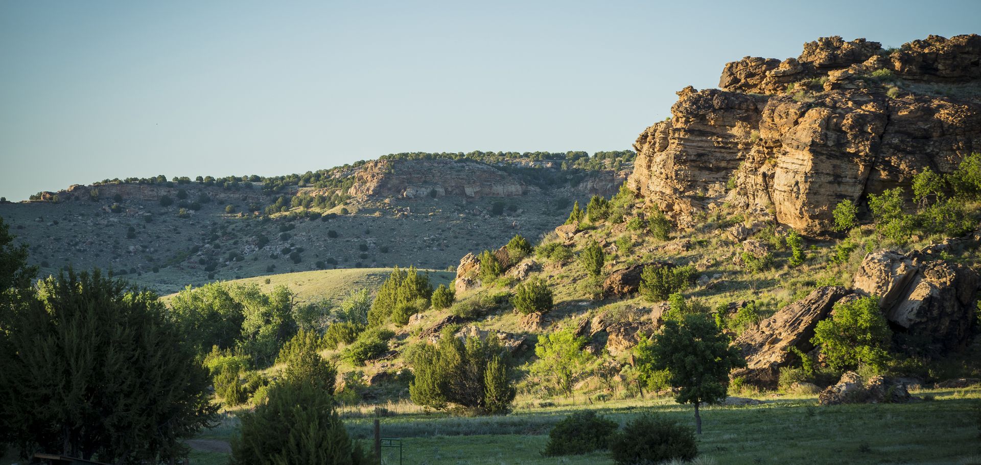 Where the West is Still Wild: The Enduring Spirit of OK Kenton Little Britches Rodeo