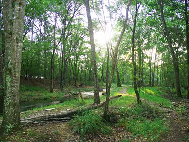 Hit the Trail - Expert-Level Trails