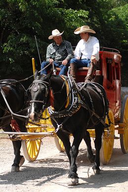 Mamas, Don&rsquo;t Let Your Babies Grow Up to be Cowboys