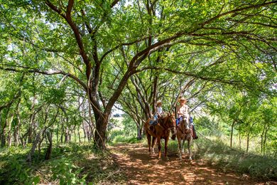 Riders on the Trail