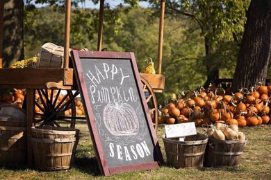 50 Ways to Celebrate Fall in Oklahoma