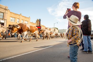 Take a Stroll Through Historic Stockyards City