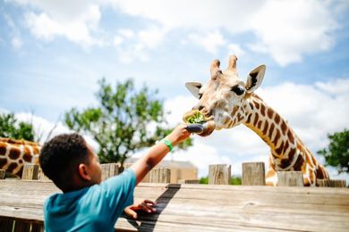 Oklahoma City's Adventure District