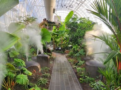 Oklahoma City Oasis: The Myriad Botanical Gardens