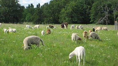 Road Trip: Feasts for the Soul