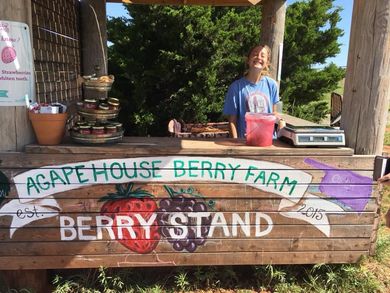 Summer Jelly-Making Farms