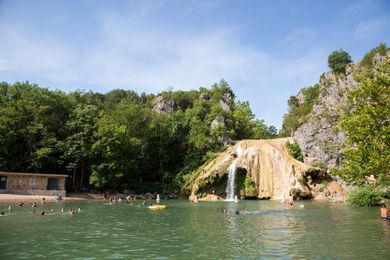 Dive into the Natural Beauty of Davis