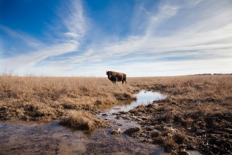 TravelOK.com - Oklahoma's Official Travel & Tourism Site