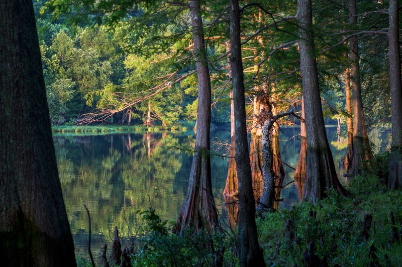 Beavers Bend State Park - Oklahoma's Official Travel & Tourism Site